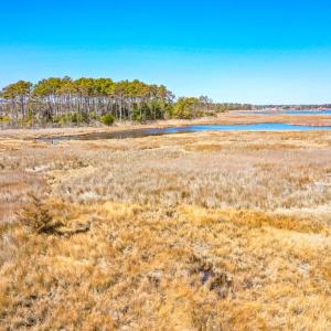 Photo #11 of Off Bay Tree Beach Rd, Seaford, VA 185.0 acres
