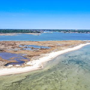 Photo #12 of Off Bay Tree Beach Rd, Seaford, VA 185.0 acres