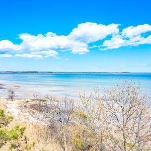 Photo #13 of Off Bay Tree Beach Rd, Seaford, VA 185.0 acres