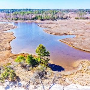 Photo #15 of Off Bay Tree Beach Rd, Seaford, VA 185.0 acres