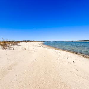 Photo #16 of Off Bay Tree Beach Rd, Seaford, VA 185.0 acres