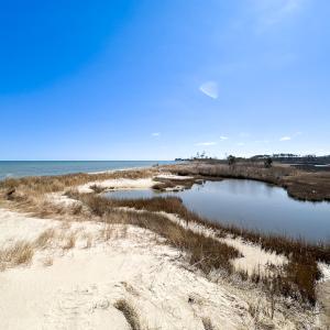 Photo #20 of Off Bay Tree Beach Rd, Seaford, VA 185.0 acres
