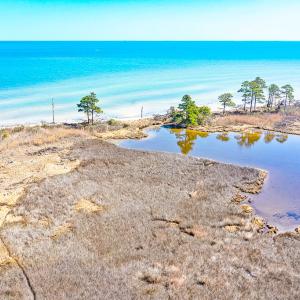 Photo #21 of Off Bay Tree Beach Rd, Seaford, VA 185.0 acres