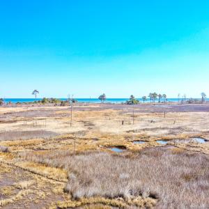 Photo #24 of Off Bay Tree Beach Rd, Seaford, VA 185.0 acres