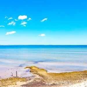 Photo #25 of Off Bay Tree Beach Rd, Seaford, VA 185.0 acres