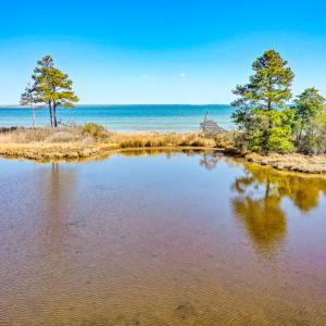 Photo #26 of Off Bay Tree Beach Rd, Seaford, VA 185.0 acres