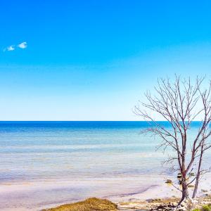 Photo #28 of Off Bay Tree Beach Rd, Seaford, VA 185.0 acres