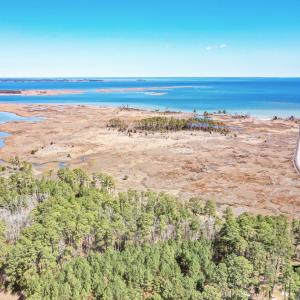 Photo #29 of Off Bay Tree Beach Rd, Seaford, VA 185.0 acres