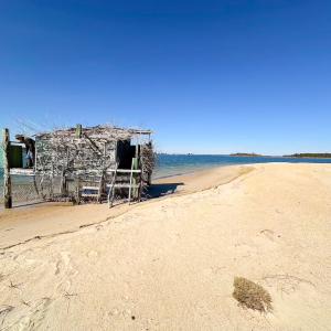 Photo #30 of Off Bay Tree Beach Rd, Seaford, VA 185.0 acres