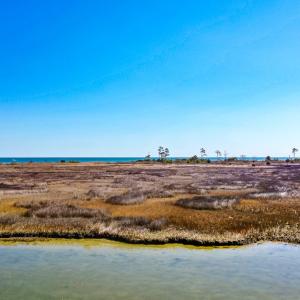 Photo #31 of Off Bay Tree Beach Rd, Seaford, VA 185.0 acres