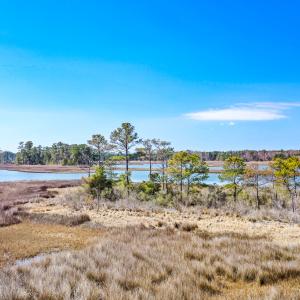 Photo #32 of Off Bay Tree Beach Rd, Seaford, VA 185.0 acres