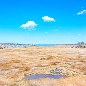 Photo #33 of Off Bay Tree Beach Rd, Seaford, VA 185.0 acres