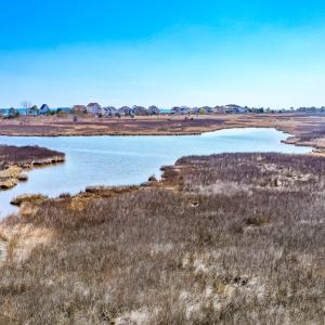 Photo #36 of Off Bay Tree Beach Rd, Seaford, VA 185.0 acres