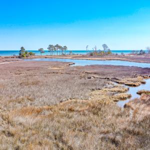 Photo #37 of Off Bay Tree Beach Rd, Seaford, VA 185.0 acres