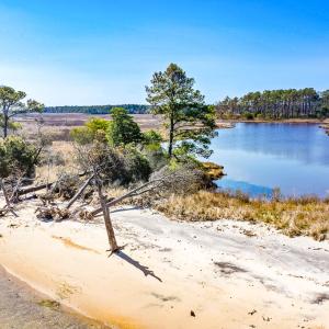 Photo #38 of Off Bay Tree Beach Rd, Seaford, VA 185.0 acres
