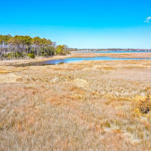 Photo #41 of Off Bay Tree Beach Rd, Seaford, VA 185.0 acres