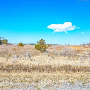 Photo #42 of Off Bay Tree Beach Rd, Seaford, VA 185.0 acres