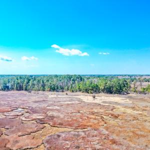 Photo #44 of Off Bay Tree Beach Rd, Seaford, VA 185.0 acres