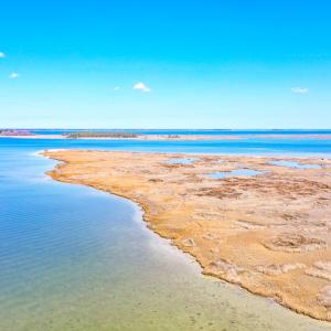 Photo #45 of Off Bay Tree Beach Rd, Seaford, VA 185.0 acres