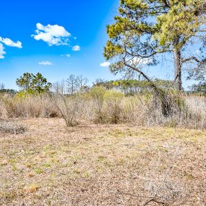 Photo #47 of Off Bay Tree Beach Rd, Seaford, VA 185.0 acres
