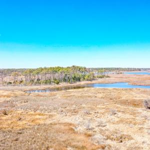 Photo #48 of Off Bay Tree Beach Rd, Seaford, VA 185.0 acres