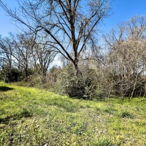 Photo #10 of 220 N. Pine Street, Laurinburg, NC 0.4 acres
