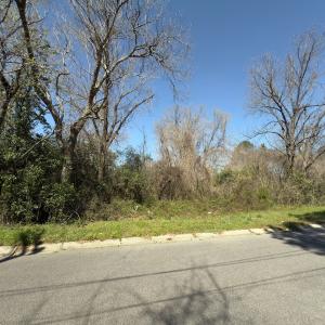 Photo #3 of 220 N. Pine Street, Laurinburg, NC 0.4 acres