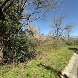 Photo #6 of 220 N. Pine Street, Laurinburg, NC 0.4 acres