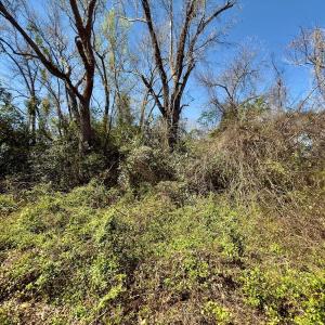 Photo #9 of 220 N. Pine Street, Laurinburg, NC 0.4 acres