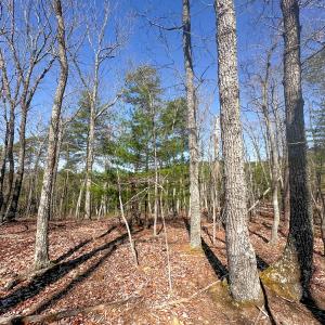 Photo #10 of Off of Belvedere Drive, Fieldale, VA 30.2 acres