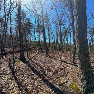 Photo #11 of Off of Belvedere Drive, Fieldale, VA 30.2 acres