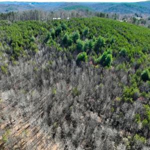 Photo #13 of Off of Belvedere Drive, Fieldale, VA 30.2 acres