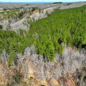 Photo #14 of Off of Belvedere Drive, Fieldale, VA 30.2 acres