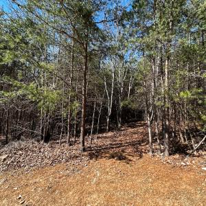 Photo #15 of Off of Belvedere Drive, Fieldale, VA 30.2 acres