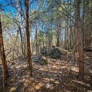 Photo #16 of Off of Belvedere Drive, Fieldale, VA 30.2 acres