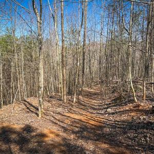Photo #17 of Off of Belvedere Drive, Fieldale, VA 30.2 acres