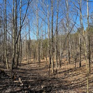 Photo #18 of Off of Belvedere Drive, Fieldale, VA 30.2 acres