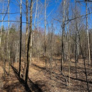 Photo #19 of Off of Belvedere Drive, Fieldale, VA 30.2 acres