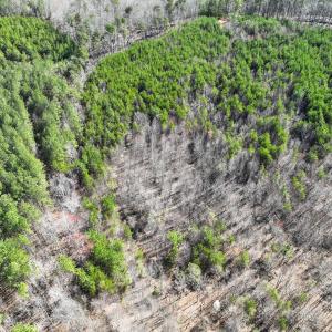 Photo #20 of Off of Belvedere Drive, Fieldale, VA 30.2 acres