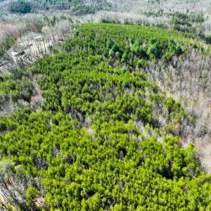 Photo #7 of Off of Belvedere Drive, Fieldale, VA 30.2 acres