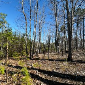 Photo #9 of Off of Belvedere Drive, Fieldale, VA 30.2 acres