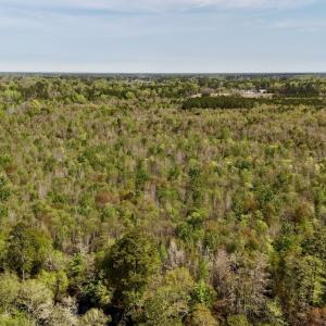 Photo #8 of Off Saxon Avenue, Lumberton, NC 76.7 acres