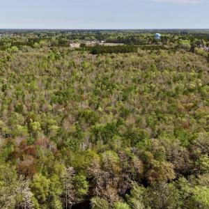 Photo #9 of Off Saxon Avenue, Lumberton, NC 76.7 acres