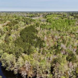 Photo #10 of Off Saxon Avenue, Lumberton, NC 76.7 acres