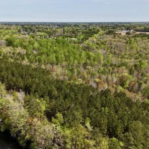 Photo #11 of Off Saxon Avenue, Lumberton, NC 76.7 acres