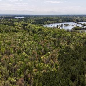 Photo #12 of Off Saxon Avenue, Lumberton, NC 76.7 acres