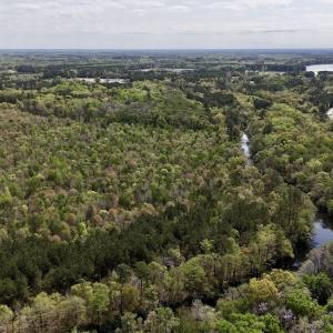 Photo #13 of Off Saxon Avenue, Lumberton, NC 76.7 acres