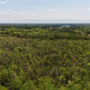 Photo #15 of Off Saxon Avenue, Lumberton, NC 76.7 acres