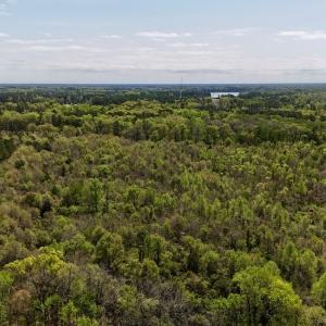 Photo #16 of Off Saxon Avenue, Lumberton, NC 76.7 acres