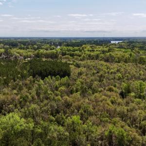 Photo #17 of Off Saxon Avenue, Lumberton, NC 76.7 acres